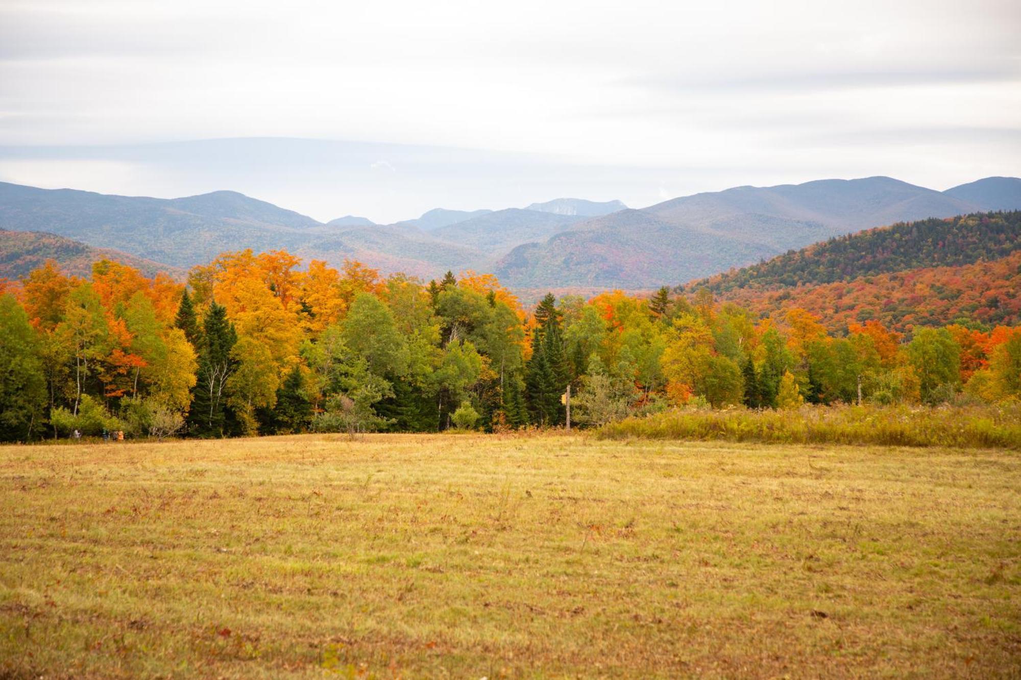 Lake Placid Inn: Residences 外观 照片